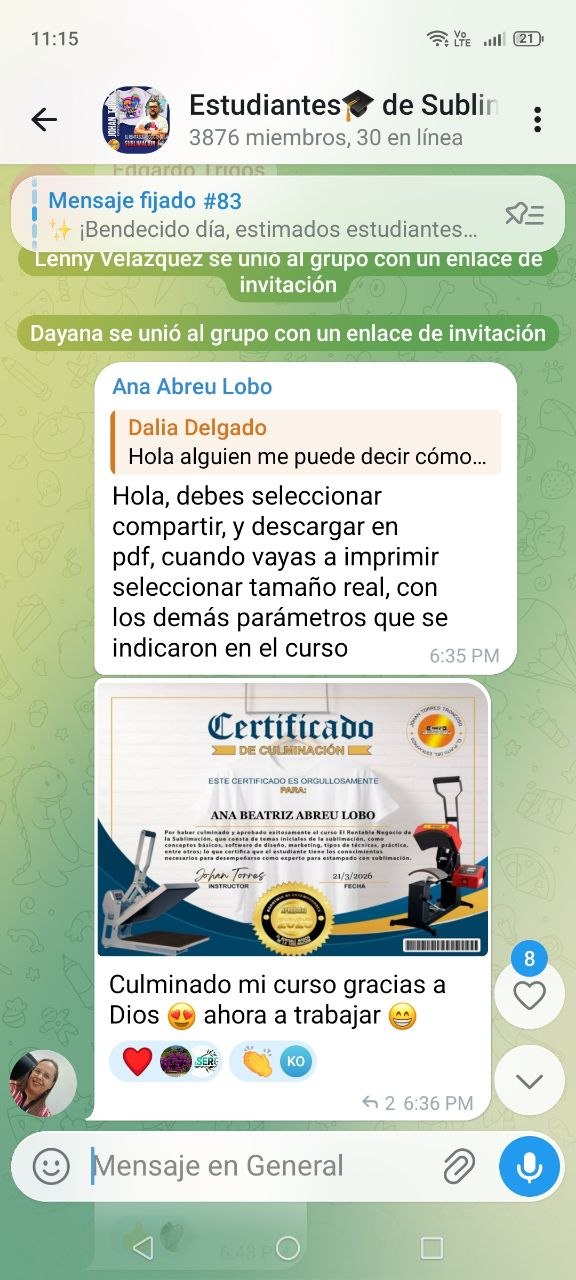 Captura del grupo de estudiantes: Ana Abreu Lobo comparte su certificado de culminación del curso
