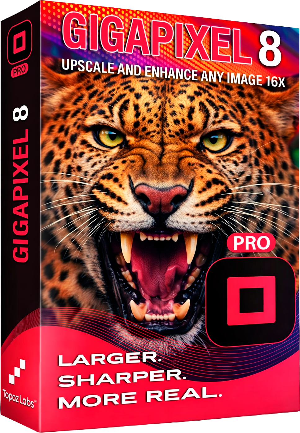 Gigapixel 8